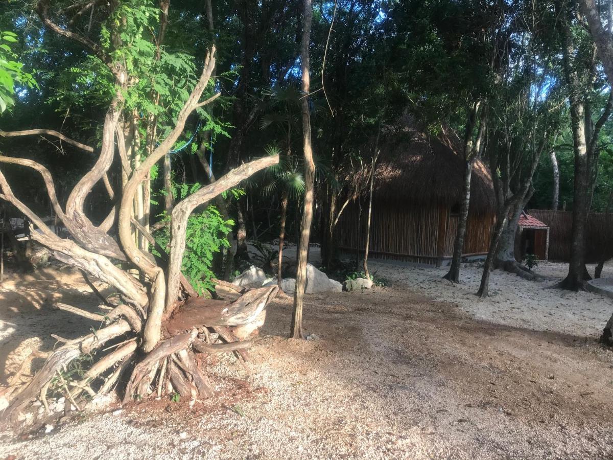 Tulum Nueve酒店 外观 照片