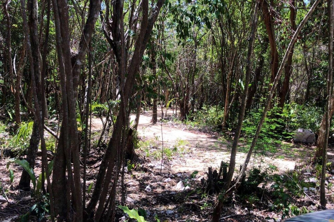 Tulum Nueve酒店 外观 照片