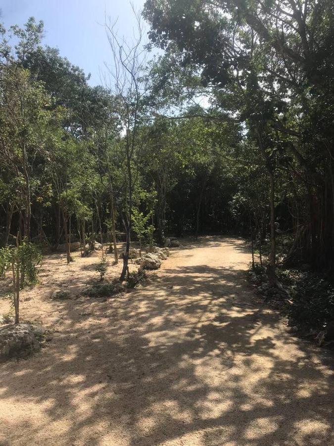 Tulum Nueve酒店 外观 照片