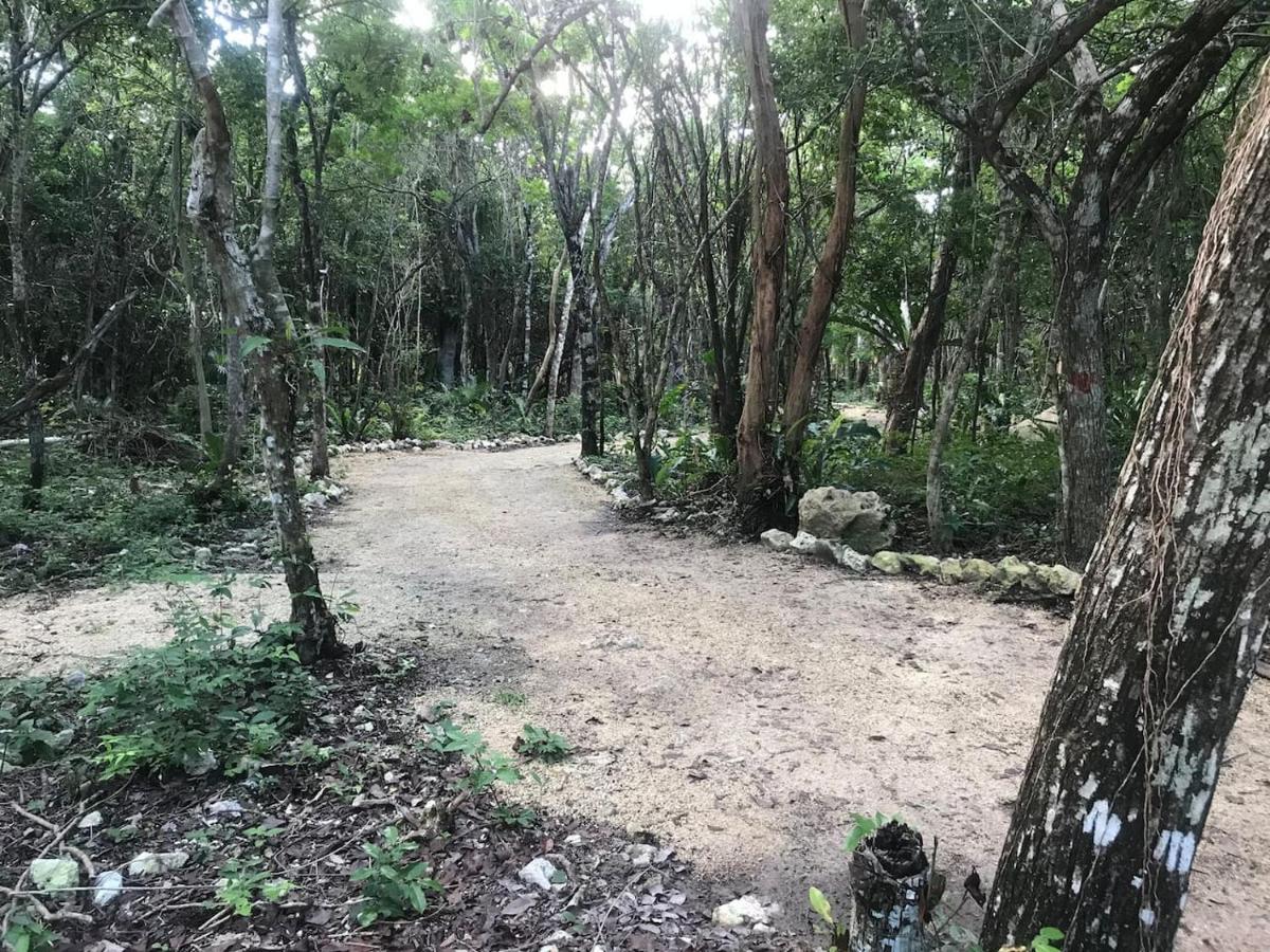 Tulum Nueve酒店 外观 照片